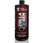 Коллаген НПО Спортивные Технологии COLLAGEN 1,0 л