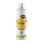 Коллаген Nature Foods Collagen concentrate 500 мл