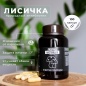 Специальный препарат Энергия Природы Лисички 100 капсул