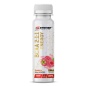 БЦАА Syntime Nutrition BCAA Energy 100 мл