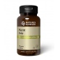 Витамины Nature’s Sunshine KELP 100 капсул