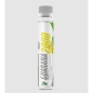 Гуарана 2SN Guarana 2000 мг 25 мл