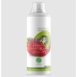 БЦАА Nature Foods BCAA Concentrate 1000 мл